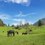 Dog-friendly In Bregenzerwald Daire Sibratsgfäll