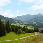 Dog-friendly In Bregenzerwald Daire
