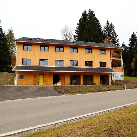 Dog-friendly In Bregenzerwald