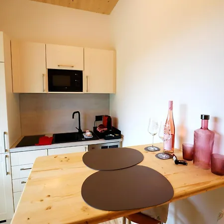 公寓 Dog-friendly In Bregenzerwald