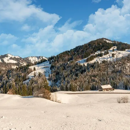 Dog-friendly In Bregenzerwald Sibratsgfall