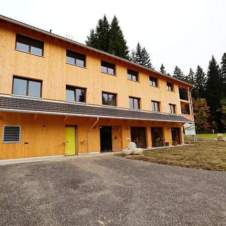 Dog-friendly In Bregenzerwald Apartament