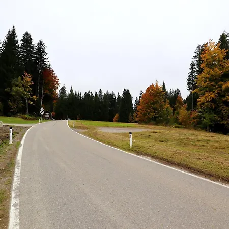 Dog-friendly In Bregenzerwald Apartment *