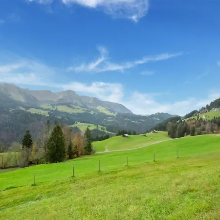 Dog-friendly In Bregenzerwald Apartment