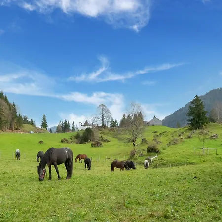 Dog-friendly In Bregenzerwald 公寓 Sibratsgfäll