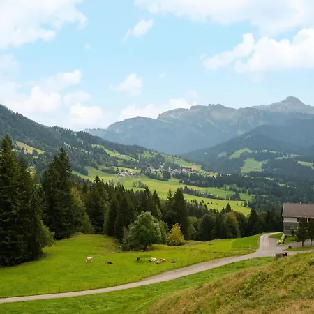 Dog-friendly In Bregenzerwald 公寓