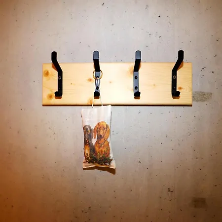 Apartament Dog-friendly In Bregenzerwald