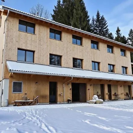 Dog-friendly In Bregenzerwald