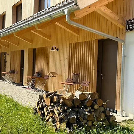 Dog-friendly In Bregenzerwald Apartment
