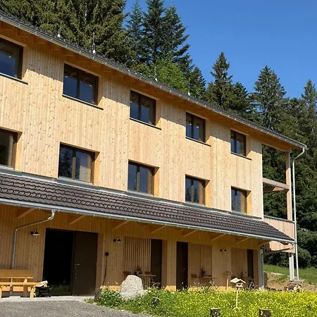 Apartment Dog-friendly In Bregenzerwald Sibratsgfall